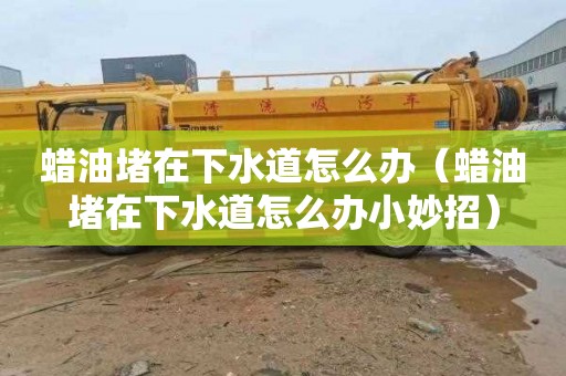 蜡油堵在下水道怎么办（蜡油堵在下水道怎么办小妙招）