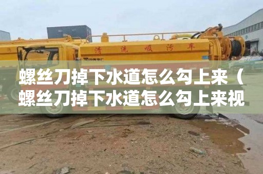 螺丝刀掉下水道怎么勾上来（螺丝刀掉下水道怎么勾上来视频）