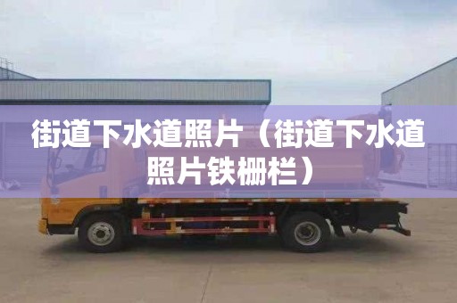 街道下水道照片（街道下水道照片铁栅栏）