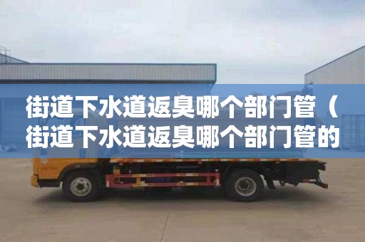 街道下水道返臭哪个部门管（街道下水道返臭哪个部门管的）