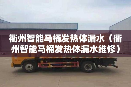 衢州智能马桶发热体漏水（衢州智能马桶发热体漏水维修）