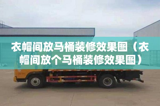 衣帽间放马桶装修效果图（衣帽间放个马桶装修效果图）