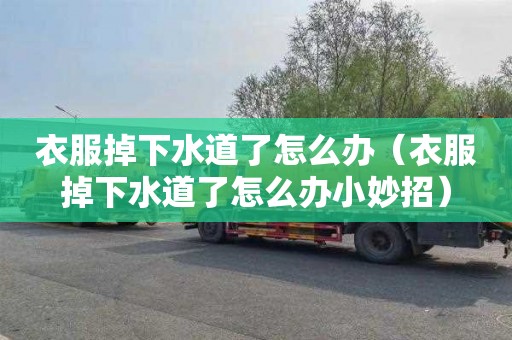衣服掉下水道了怎么办（衣服掉下水道了怎么办小妙招）