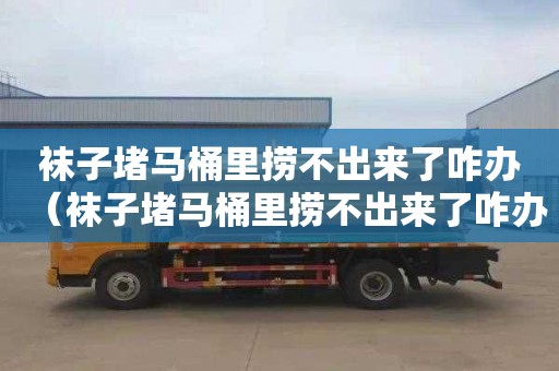 袜子堵马桶里捞不出来了咋办（袜子堵马桶里捞不出来了咋办呢）
