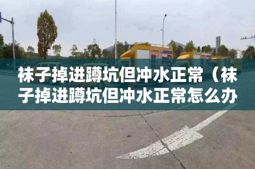 袜子掉进蹲坑但冲水正常（袜子掉进蹲坑但冲水正常怎么办）