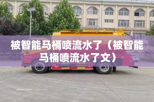 被智能马桶喷流水了（被智能马桶喷流水了文）