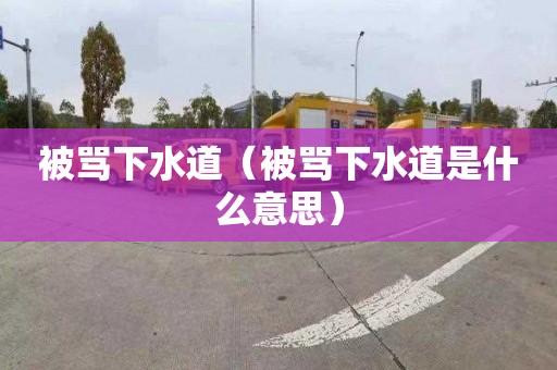 被骂下水道（被骂下水道是什么意思）