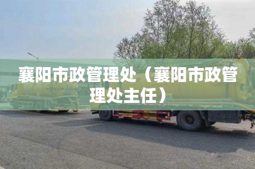 襄阳市政管理处（襄阳市政管理处主任）