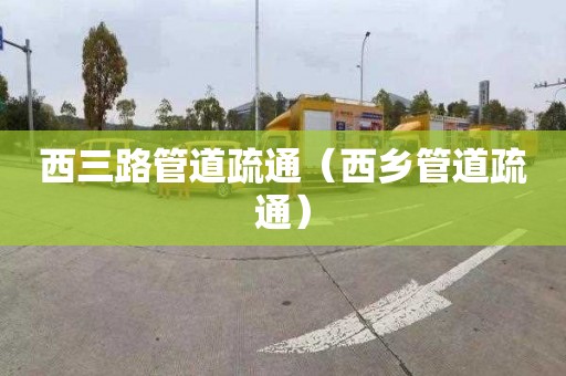 西三路管道疏通（西乡管道疏通）