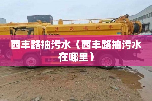 西丰路抽污水（西丰路抽污水在哪里）