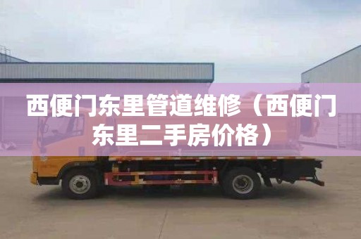 西便门东里管道维修（西便门东里二手房价格）