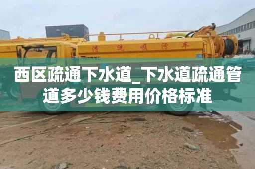 西区疏通下水道_下水道疏通管道多少钱费用价格标准