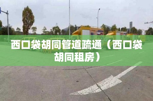 西口袋胡同管道疏通（西口袋胡同租房）
