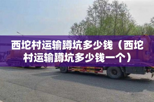 西坨村运输蹲坑多少钱（西坨村运输蹲坑多少钱一个）