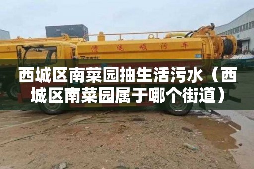 西城区南菜园抽生活污水（西城区南菜园属于哪个街道）