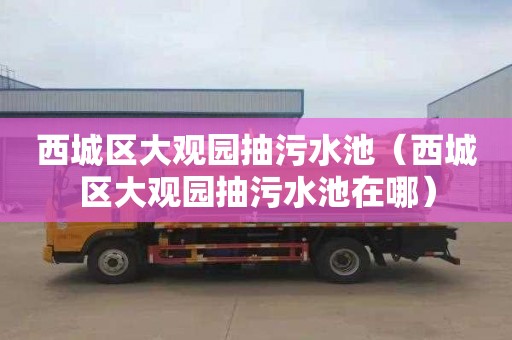 西城区大观园抽污水池（西城区大观园抽污水池在哪）