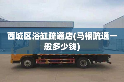 西城区浴缸疏通店(马桶疏通一般多少钱)