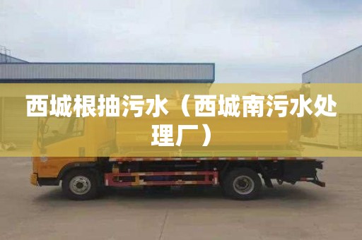 西城根抽污水（西城南污水处理厂）