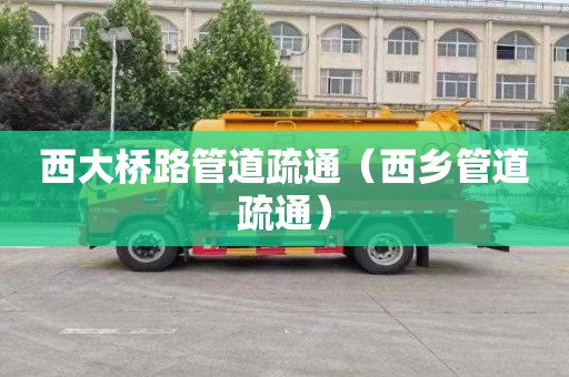 西大桥路管道疏通（西乡管道疏通）