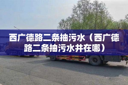 西广德路二条抽污水（西广德路二条抽污水井在哪）