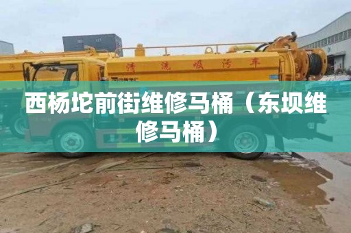 西杨坨前街维修马桶（东坝维修马桶）