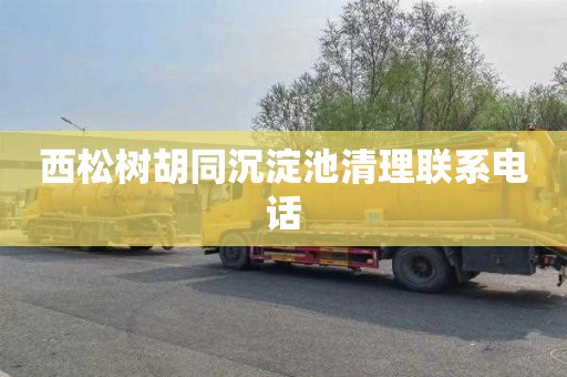 西松树胡同沉淀池清理联系电话