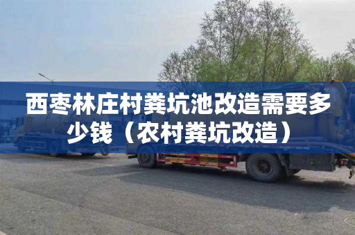 西枣林庄村粪坑池改造需要多少钱（农村粪坑改造）
