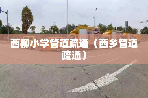 西柳小学管道疏通（西乡管道疏通）