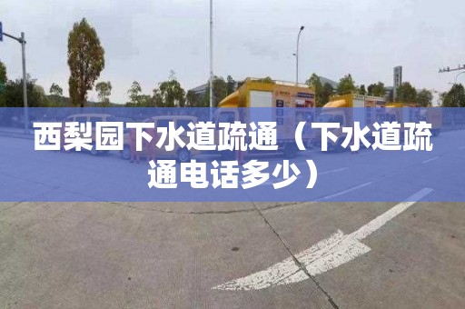 西梨园下水道疏通（下水道疏通电话多少）