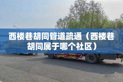 西楼巷胡同管道疏通（西楼巷胡同属于哪个社区）