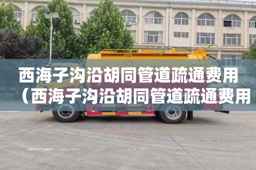 西海子沟沿胡同管道疏通费用（西海子沟沿胡同管道疏通费用多少）