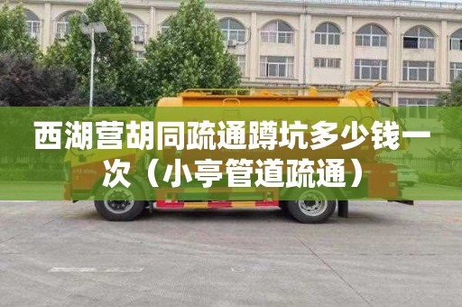 西湖营胡同疏通蹲坑多少钱一次（小亭管道疏通）