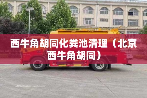 西牛角胡同化粪池清理（北京西牛角胡同）
