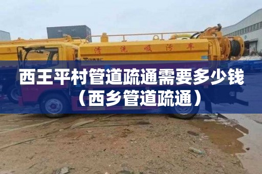 西王平村管道疏通需要多少钱（西乡管道疏通）