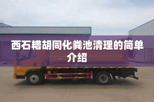 西石糟胡同化粪池清理的简单介绍