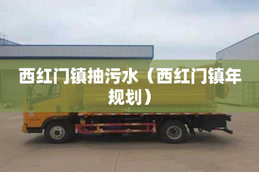 西红门镇抽污水（西红门镇年规划）
