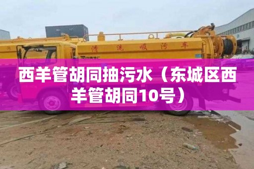 西羊管胡同抽污水（东城区西羊管胡同10号）
