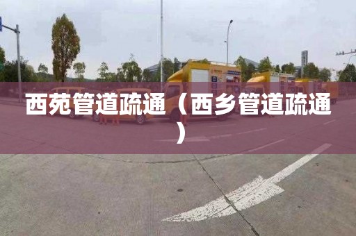 西苑管道疏通（西乡管道疏通）