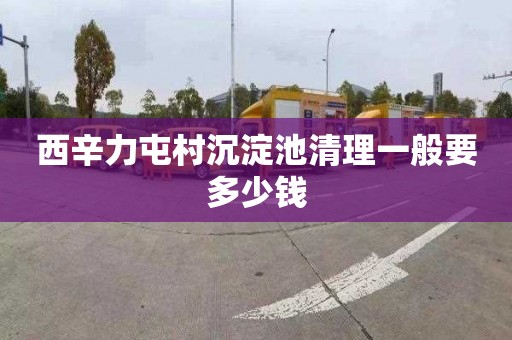 西辛力屯村沉淀池清理一般要多少钱
