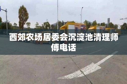 西郊农场居委会沉淀池清理师傅电话