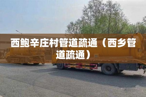 西鲍辛庄村管道疏通（西乡管道疏通）