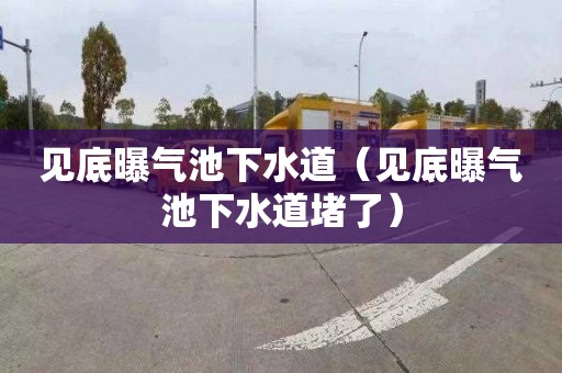 见底曝气池下水道（见底曝气池下水道堵了）