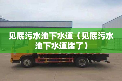 见底污水池下水道（见底污水池下水道堵了）