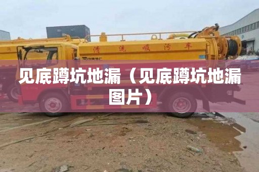见底蹲坑地漏（见底蹲坑地漏图片）