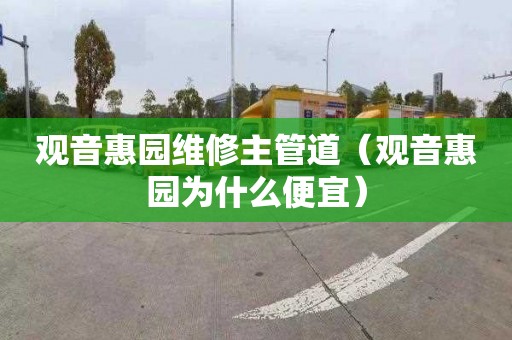 观音惠园维修主管道（观音惠园为什么便宜）
