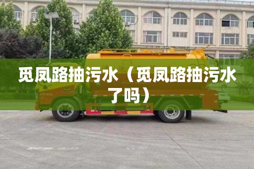 觅凤路抽污水（觅凤路抽污水了吗）