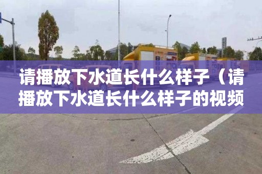 请播放下水道长什么样子（请播放下水道长什么样子的视频）