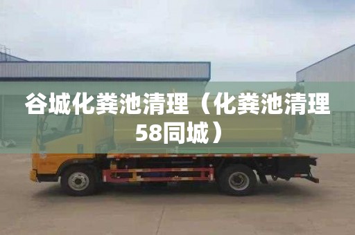 谷城化粪池清理（化粪池清理58同城）