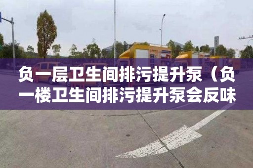 负一层卫生间排污提升泵（负一楼卫生间排污提升泵会反味吗）