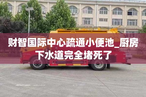 财智国际中心疏通小便池_厨房下水道完全堵死了